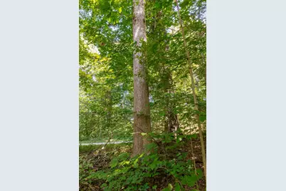 0 County Rd 269, Glouster, OH 45732 - Photo 70