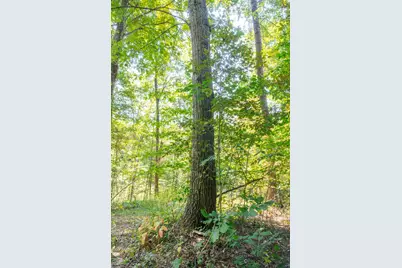 0 County Rd 269, Glouster, OH 45732 - Photo 92