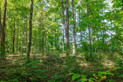 0 County Rd 269, Glouster, OH 45732 - Photo 38