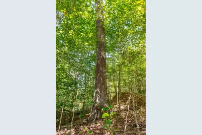 0 County Rd 269, Glouster, OH 45732 - Photo 96