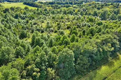 0 County Line Road, Johnstown, OH 43031 - Photo 10