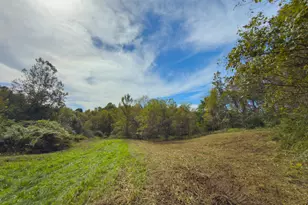 3930 McNally Rd, Stockport, OH 43787 - Photo 86