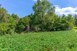 3930 McNally Rd, Stockport, OH 43787 - Photo 44
