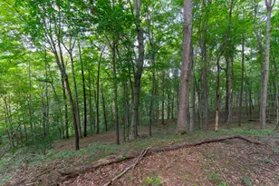 3930 McNally Rd, Stockport, OH 43787 - Photo 52