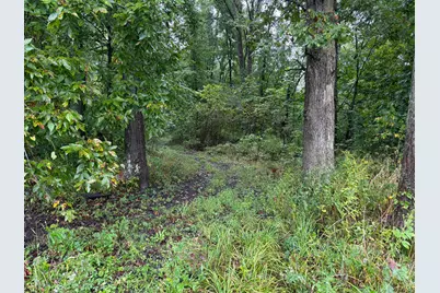 0 County Road 97 Lot #2, Mount Gilead, OH 43338 - Photo 10