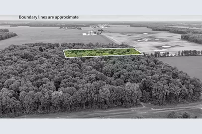 0 County Road 97 Lot #2, Mount Gilead, OH 43338 - Photo 2