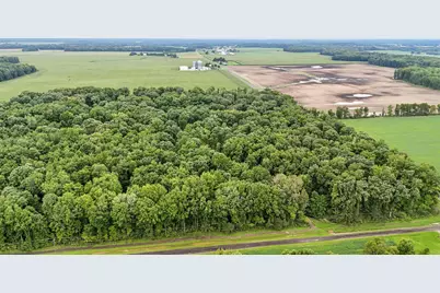 0 County Road 97 Lot #1, Mount Gilead, OH 43338 - Photo 6