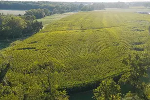 3924 State Route 131, Perry Township, OH 45118 - Photo 12