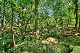 6218 Harlem Rd, Westerville, OH 43082 - Photo 102