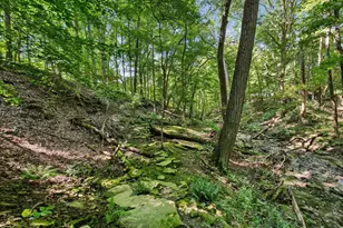 6218 Harlem Rd, Westerville, OH 43082 - Photo 92