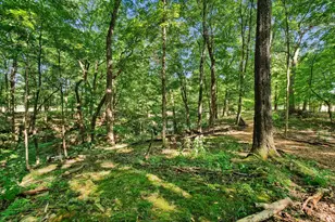 6218 Harlem Rd, Westerville, OH 43082 - Photo 100