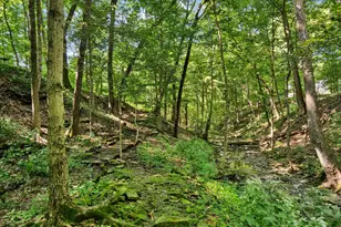 6218 Harlem Rd, Westerville, OH 43082 - Photo 94