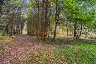 22390 State Route 56, South Bloomingville, OH 43152 - Photo 78