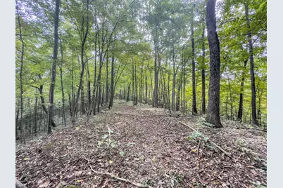 15525 Township Road 287 SE, Glouster, OH 45732 - Photo 46