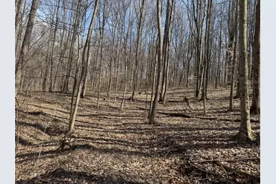 7471 Township Rd 215-A SE #(ATV Getaway at Shawnee Woods), Corning, OH 43730 - Photo 12