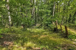 34008 W Buckingham Rd, Logan, OH 43138 - Photo 68