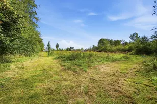 15578 Smart-Cole Rd, Ostrander, OH 43061 - Photo 66