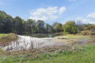4843 Co Rd 20, Mount Gilead, OH 43338 - Photo 40
