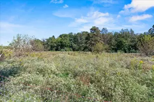 1514 Children's Home Rd, Urbana, OH 43078 - Photo 46