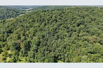 33111 Township Road 490, Killbuck, OH 44637 - Photo 58
