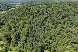 33111 Township Rd 490, Killbuck, OH 44637 - Photo 58