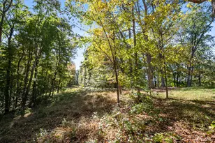 23951 Brown Rd, South Bloomingville, OH 43152 - Photo 72