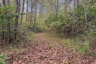 2449 Hickson Run Rd, Chillicothe, OH 45601 - Photo 78