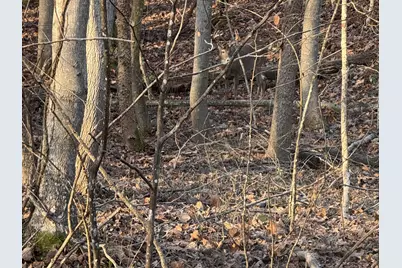 2449 Hickson Run Road, Chillicothe, OH 45601 - Photo 76