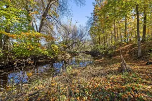 3360 Burnt Pond Rd, Ostrander, OH 43061 - Photo 46