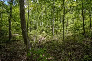 0 Kinzer Rd, Bainbridge, OH 45612 - Photo 1