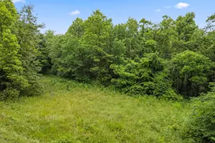 0 Dove Rd, Frazeysburg, OH 43822 - Photo 1