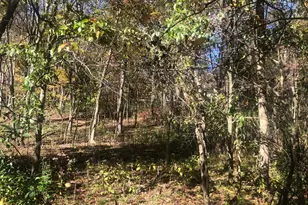 0 Valleyridge Dr, Howard, OH 43028 - Photo 1