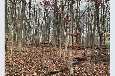 0 Headleys Mill Road SW #5 acres, Pataskala, OH 43062 - Photo 1
