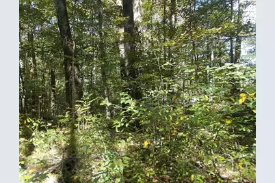 581 Butler Road, Malta, OH 43758 - Photo 1