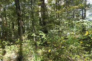 581 Butler Rd, Malta, OH 43758 - Photo 1