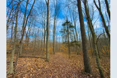 0 Long Fork Road, Piketon, OH 45661 - Photo 1