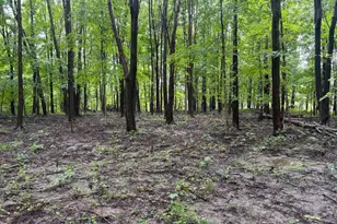 0 Orange, Delaware, OH 43015 - Photo 1
