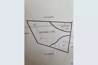 000 Flournoy Road, Hawkinsville, GA 31036 - Photo 8