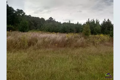 000 Flournoy Road, Hawkinsville, GA 31036 - Photo 4