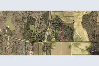 000 Flournoy Road, Hawkinsville, GA 31036 - Photo 2