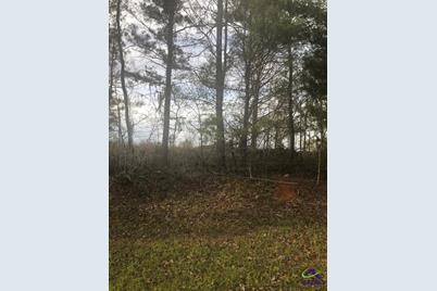 V/L Crabapple Drive, Hawkinsville, GA 31036 - Photo 1