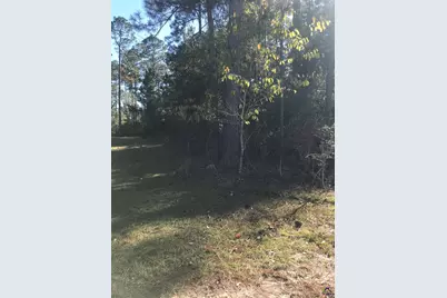 0 Eagles Nest Circle, Eastman, GA 31023 - Photo 4