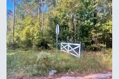 0 Shady Oaks, Eastman, GA 31023 - Photo 4