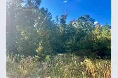 0 Shady Oaks, Eastman, GA 31023 - Photo 6