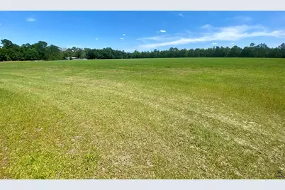 5879 Beatty Mill Creek Road, Ray City, GA 31645 - Photo 4
