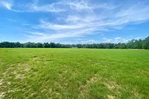 5879 Beatty Mill Creek Rd, Ray City, GA 31645 - Photo 2