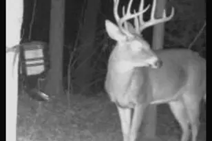 467 Kirkland Dr, Byron, GA 31008 - Photo 44