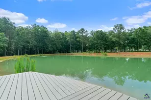 355 Ga 26 Hwy, Elko, GA 31025 - Photo 100