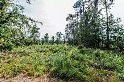 1227 Hawkinsville Highway, Eastman, GA 31023 - Photo 50