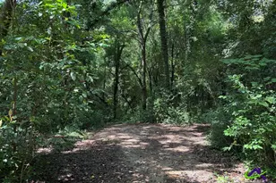 3391 Pio Nono Cir, Macon, GA 31206 - Photo 2